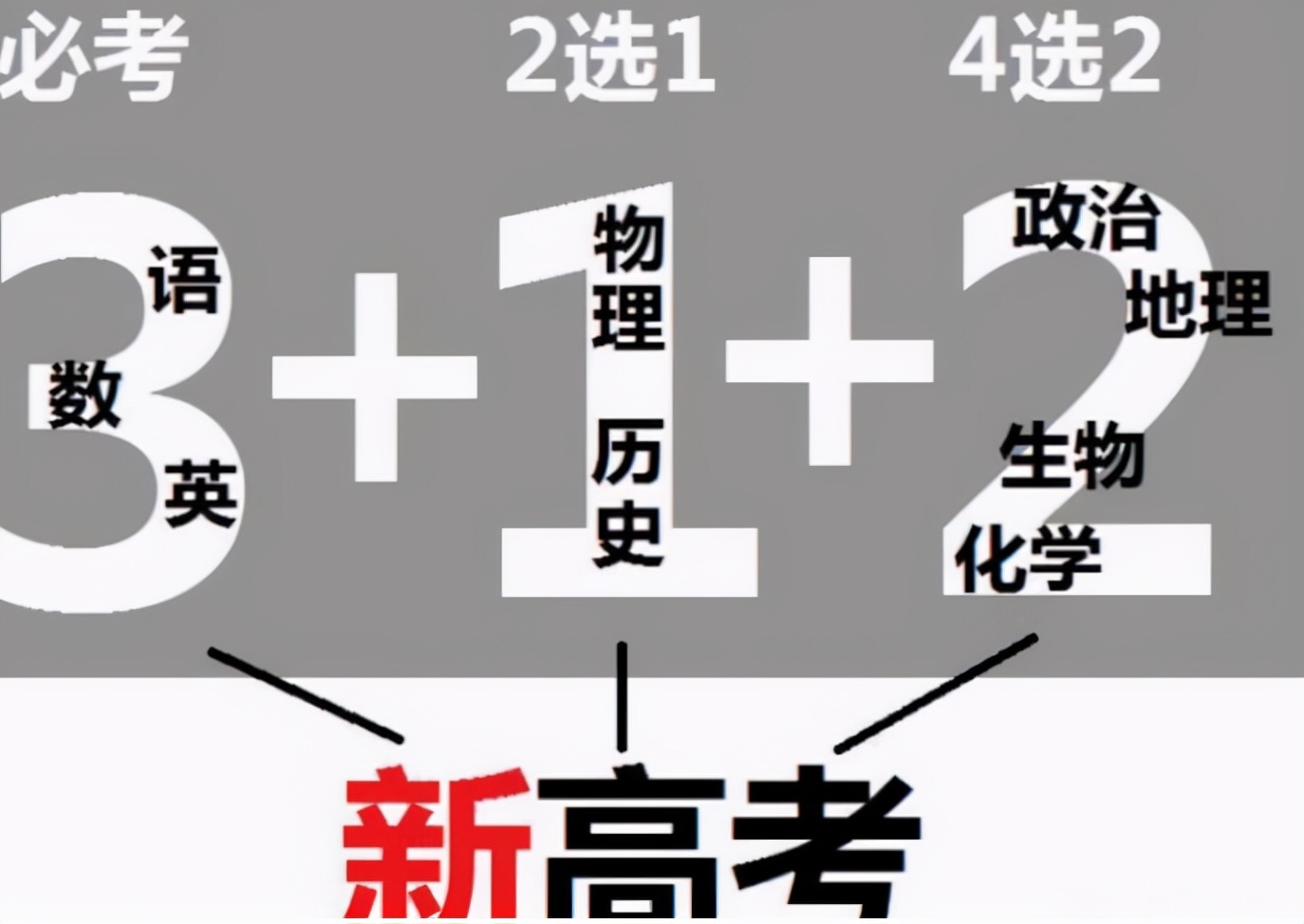 浙江新高考报考政策解读(浙江新高考报考政策解读最新)