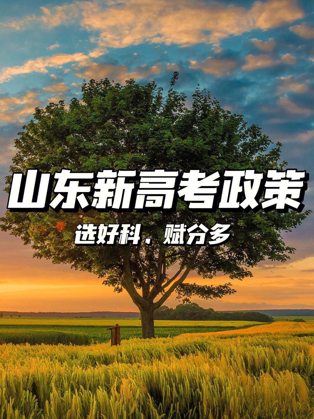 2023年新高考政策怎么选(2023实行新高考地区有哪些)