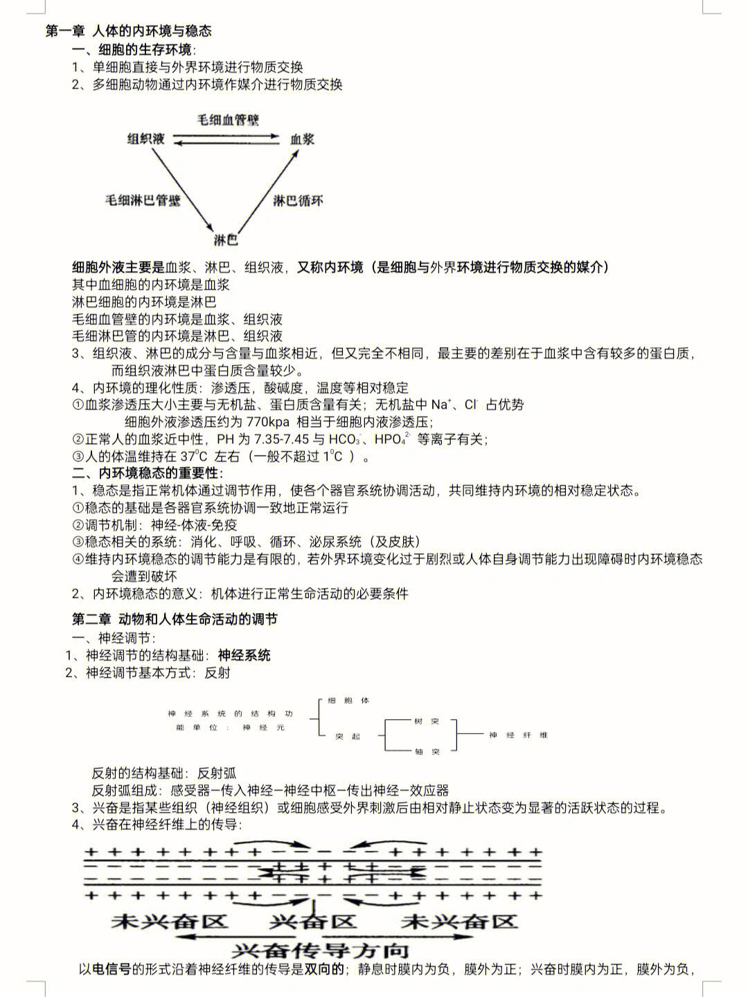 高考生物必考知识点总结图片大全(高考生物必考知识点总结图片大全及答案)