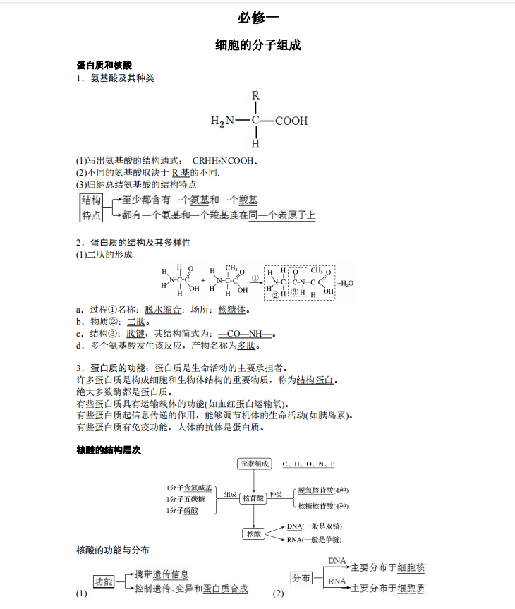 小高考生物知识点总结归纳(小高考生物知识点总结归纳图片)